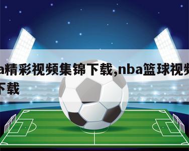 nba精彩视频集锦下载,nba篮球视频集锦下载